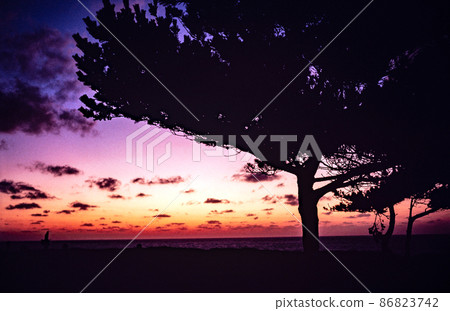 Lakeside evening view silhouette Lakeside evening view silhouette 86823742