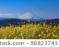 Rape field and Mt. Fuji 86823743