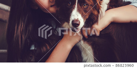 woman and collie dog 86823960