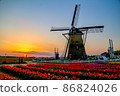 Evening sky, windmill and tulip field 86824026