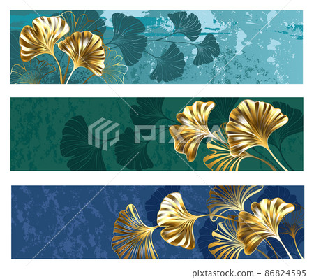 Golden ginkgo biloba banner Golden ginkgo biloba banner 86824595