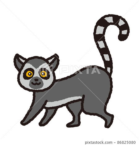 Lemur illustration Lemur illustration 86825080
