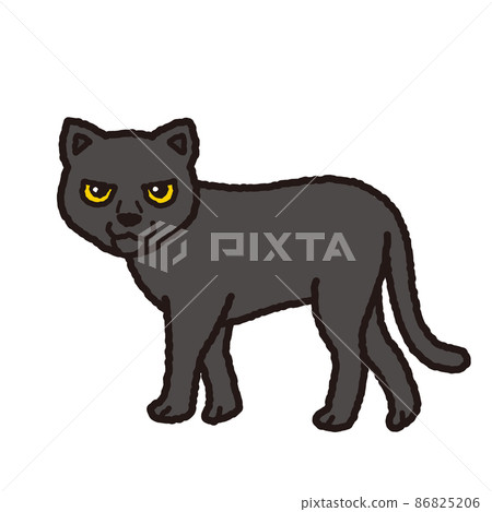 Black panther illustration 86825206