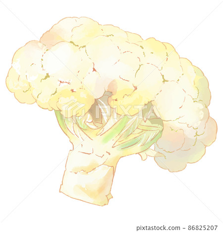 花椰菜例證 86825207
