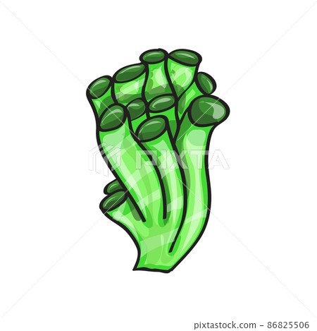 Algae and underwater inhabitants. Underwater plant, sponges. Cartoon style 86825506