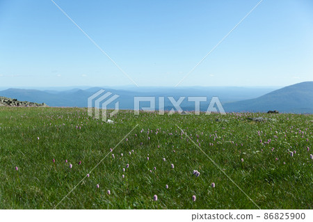 Meadow at Konzhakovskiy Kamen, Urals, Sverdlovsk Oblast, Russia 86825900