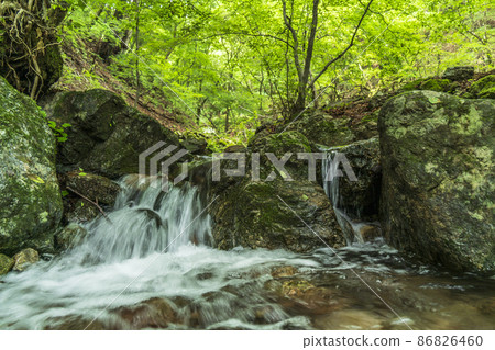 Mt. Mitake Rock Garden Mountain Stream [Ome City, Tokyo] 86826460