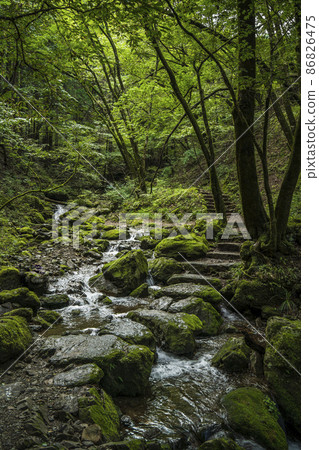 Mt. Mitake Mitake Gorge Rock Garden [Ome City, Tokyo] 86826475