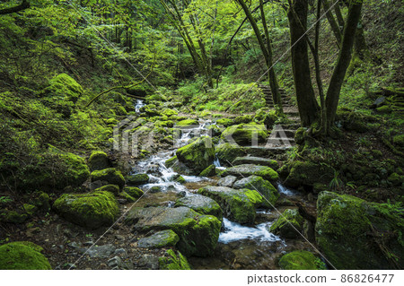 Mt. Mitake Mitake Gorge Rock Garden [Ome City, Tokyo] 86826477