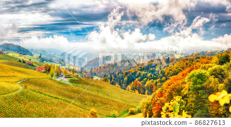 Splendid vineyards landscape in South Styria near Gamlitz. 86827613