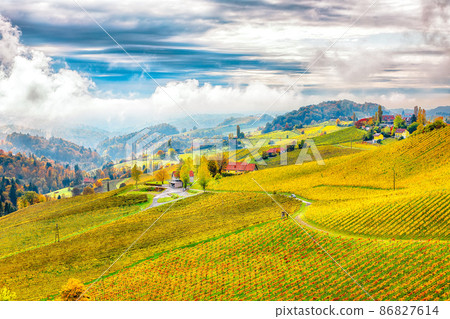 Fabulous vineyards landscape in South Styria near Gamlitz. 86827614