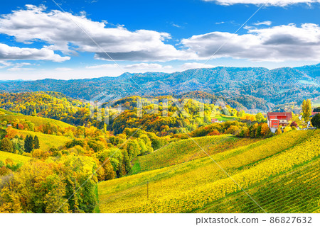 Fabulous vineyards landscape in South Styria near Gamlitz. 86827632