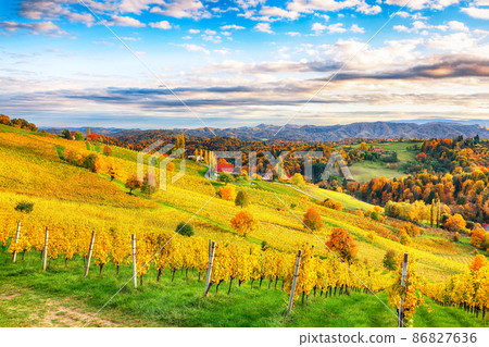 Breathtaking vineyards landscape in South Styria near Gamlitz. 86827636