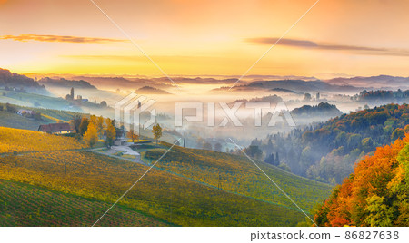 Fabulous vineyards landscape in South Styria near Gamlitz. Fabulous vineyards landscape in South Styria near Gamlitz. 86827638