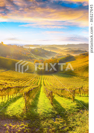 Splendid vineyards landscape in South Styria near Gamlitz. Splendid vineyards landscape in South Styria near Gamlitz. 86827645