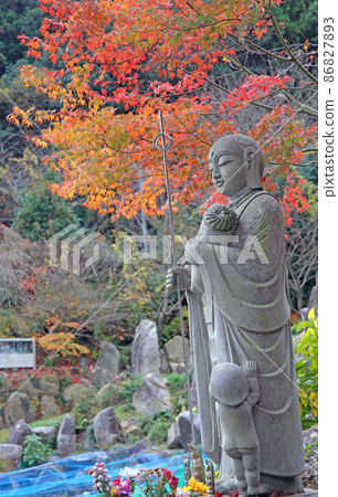 Obi Kaneko秋葉 Obi Kaneko秋葉 86827893