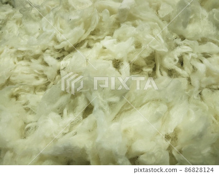 法國羊毛 86828124