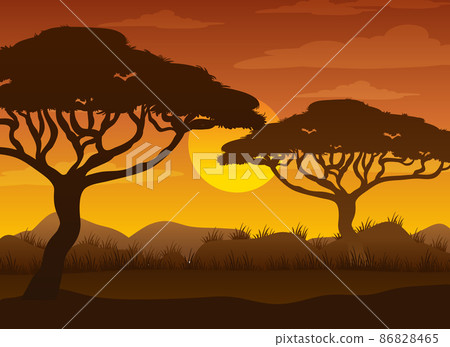 Silhouette savanna forest at sunset time Silhouette savanna forest at sunset time 86828465