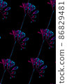 Freesia flowers drawing, seamless pattern, pink and blue neon colors 86829481