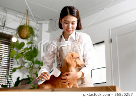 Young woman of trimmer brushing dog (pet) 86830297