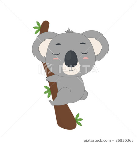 Koala sleeps on a tree branch. Koala on white backgriund. Vector illustration for designs, prints and patterns. Koala sleeps on a tree branch. Koala on white backgriund. Vector illustration for designs, prints and patterns. 86830363