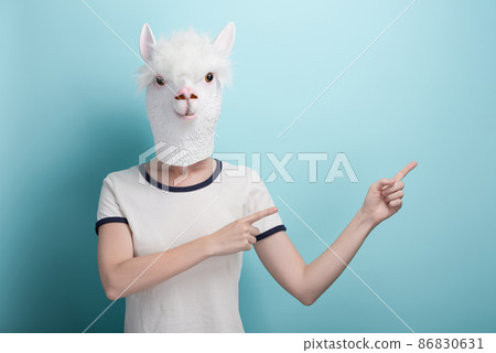 Woman in alpaca mask pointing with index fingers to the blank space, isolated on  86830631