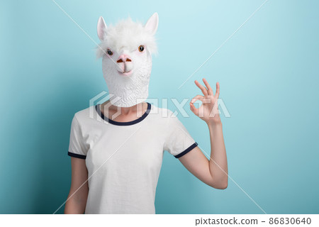 Young woman in alpaca mask showing ok okay sign hand gesture, isolated on blue background Young woman in alpaca mask showing ok okay sign hand gesture, isolated on blue background 86830640