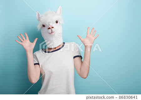 Young woman in alpaca mask showing open palms, stop or defense gesture, isolated on blue Young woman in alpaca mask showing open palms, stop or defense gesture, isolated on blue 86830641