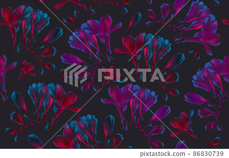 Blooming freesia flowers seamless pattern drawing, pink and blue neon colors Blooming freesia flowers seamless pattern drawing, pink and blue neon colors 86830739