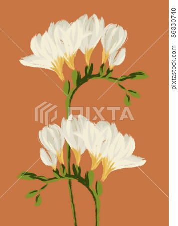 Freesia twigs blooming with white flowers illustration on orange background Freesia twigs blooming with white flowers illustration on orange background 86830740