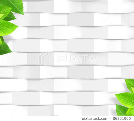 綠色植物葉子和抽象白紙3d平面設計插畫壁紙矢量素材 插圖素材 圖庫