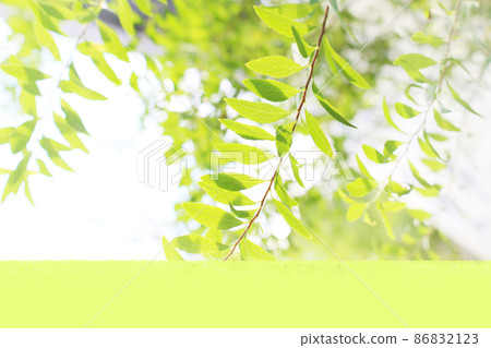 Fresh green photo (image for title) 86832123