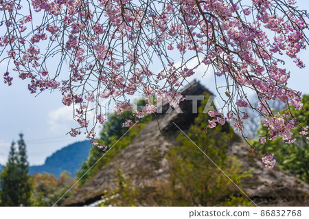 日式房屋和櫻花 86832768