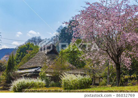 日式房屋和櫻花 86832769
