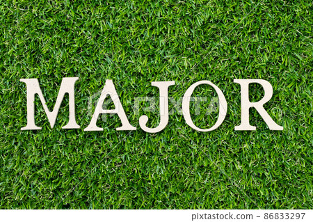 Wood alphabet letter in word major on green grass background 86833297
