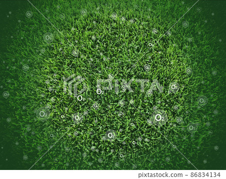 植物呼吸/草坪 86834134