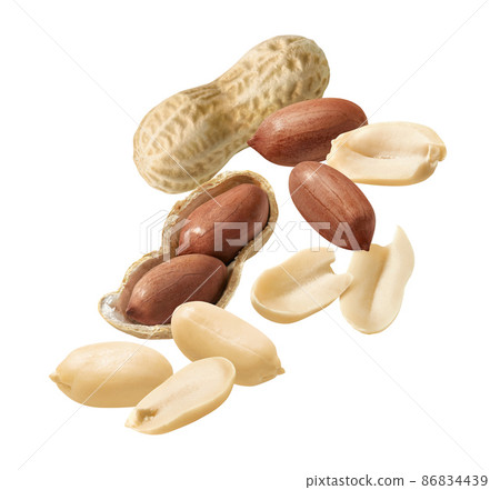 Peanut group isolated on white background. In shell and peeled. 86834439