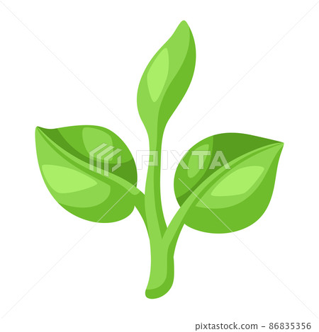 Young green sprout with leaves. Agricultural planting illustration. 86835356