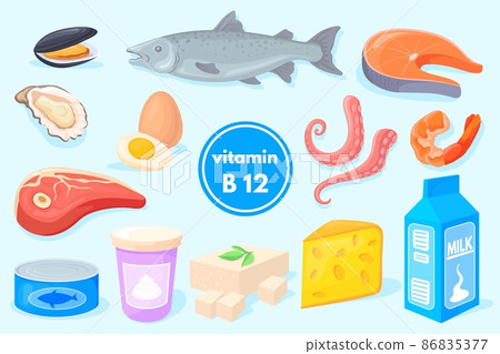Vitamin b12 products. Healthy food, fish meat milk cheese egg salmon curd shrimp tuna, organic dietary nutrition, vegan fruits diet, balanced energy minerals neat vector 86835377