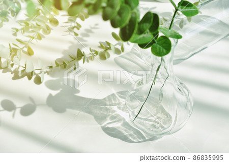 Glass reflect sunlight shadow effect, Summer still life scene, Transparent glittering glasses 86835995