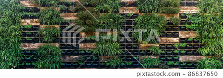 background - wall with vertical garden 86837650