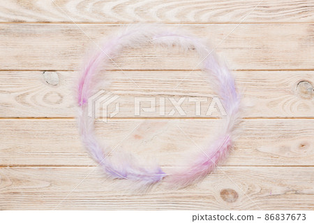 Frame of brightly colored dyed bird feathers on Colored background, top view Frame of brightly colored dyed bird feathers on Colored background, top view 86837673