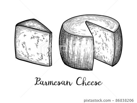 Parmesan cheese ink sketch. 86838206