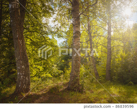 summer travel to Russia, Torzhok city. summer travel to Russia, Torzhok city. 86839596
