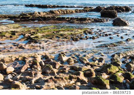 Closeup of green rough rock structure on the beach in Estoril, Portugal 86839723