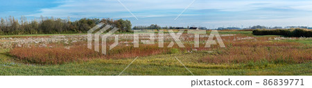 Panoramic view over the colorful meadows of the polders in Uitkerke, Blankenberge, Belgium. 86839771