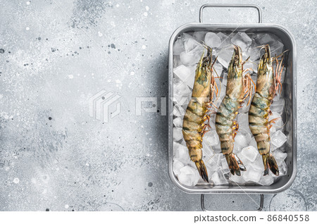 Raw Black tiger prawns shrimps on ice. Seafood. Gray background. Top view. Free copy space Raw Black tiger prawns shrimps on ice. Seafood. Gray background. Top view. Free copy space 86840558