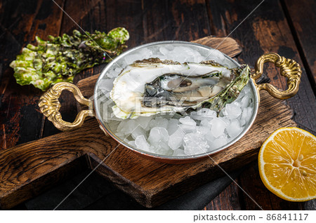 Appetizing raw oyster with ice cubes in a skillet . Wooden background. Top view Appetizing raw oyster with ice cubes in a skillet . Wooden background. Top view 86841117