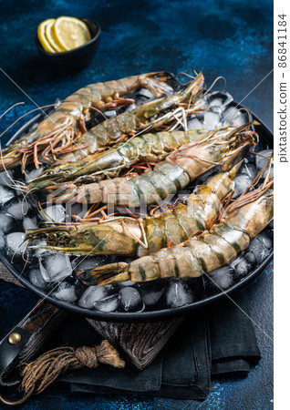 Giant Black tiger prawns shrimps on a plate with ice. Raw Seafood. Blue background. Top view Giant Black tiger prawns shrimps on a plate with ice. Raw Seafood. Blue background. Top view 86841184