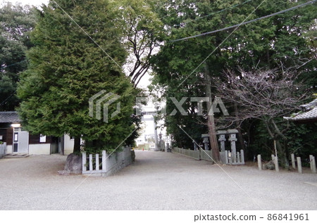 Naruishi Shrine Handa City Naruishi Shrine Handa City 86841961